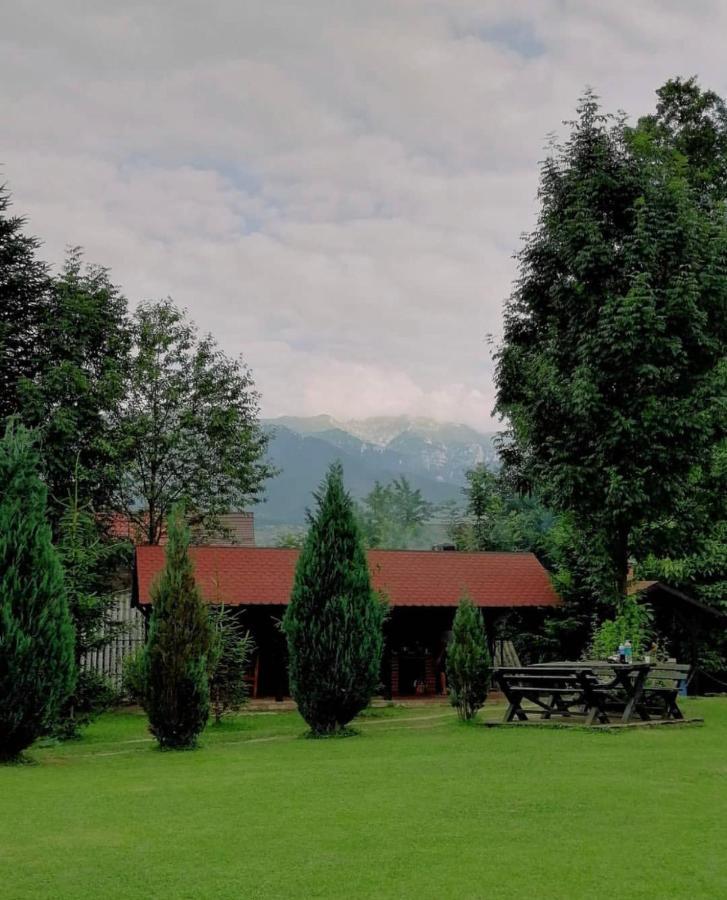 Garden Retreat (Adults Only) Hotel Bran  Exterior foto